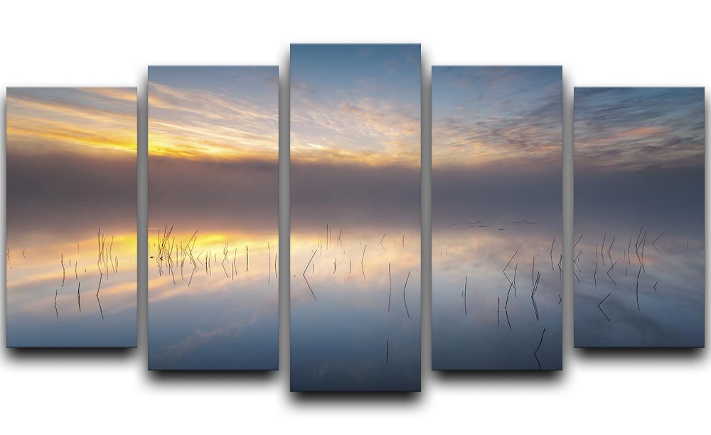 Reeds 5 Split Panel Canvas - Canvas Art Rocks - 1