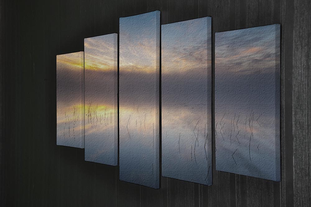 Reeds 5 Split Panel Canvas - Canvas Art Rocks - 2