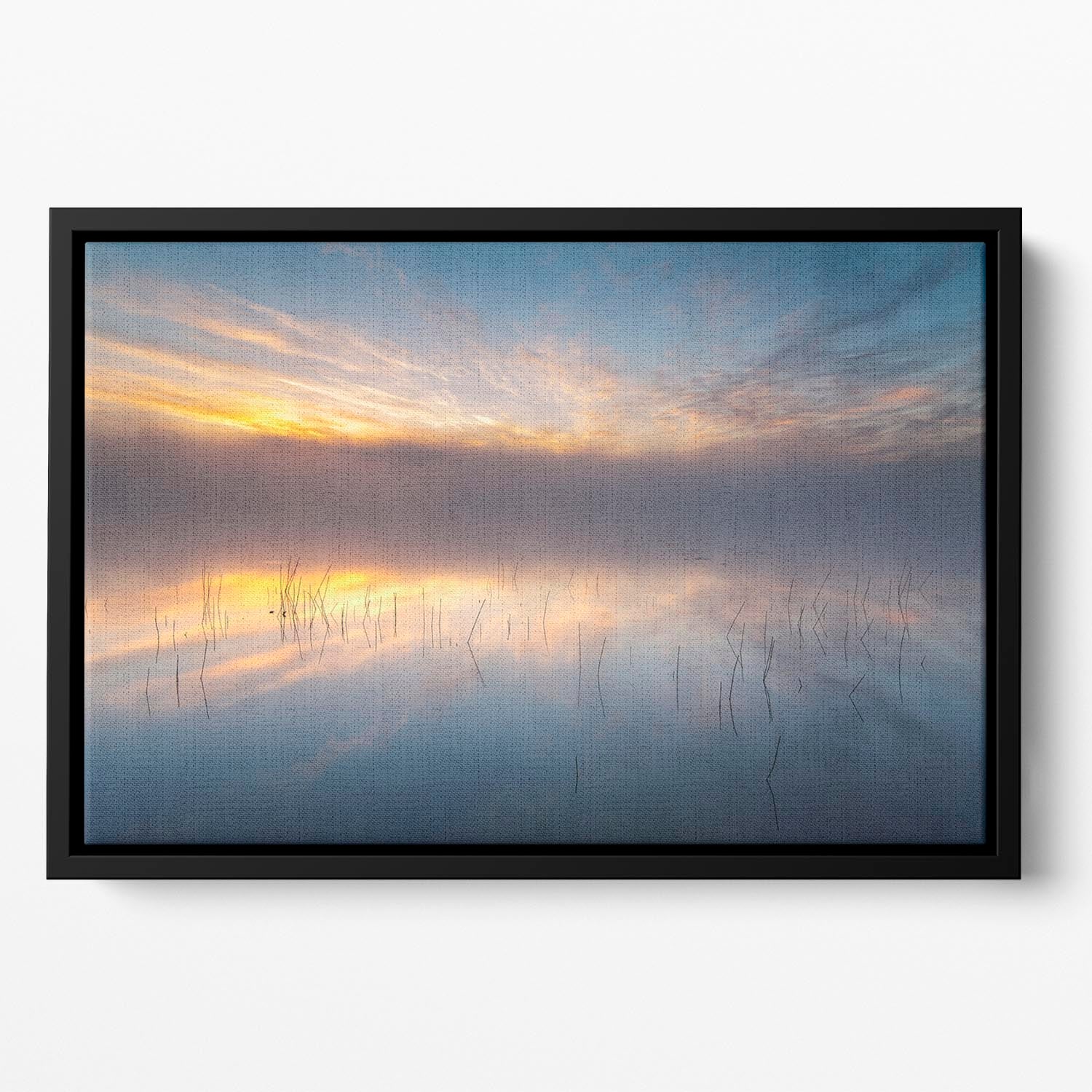 Reeds Floating Framed Canvas - Canvas Art Rocks - 2