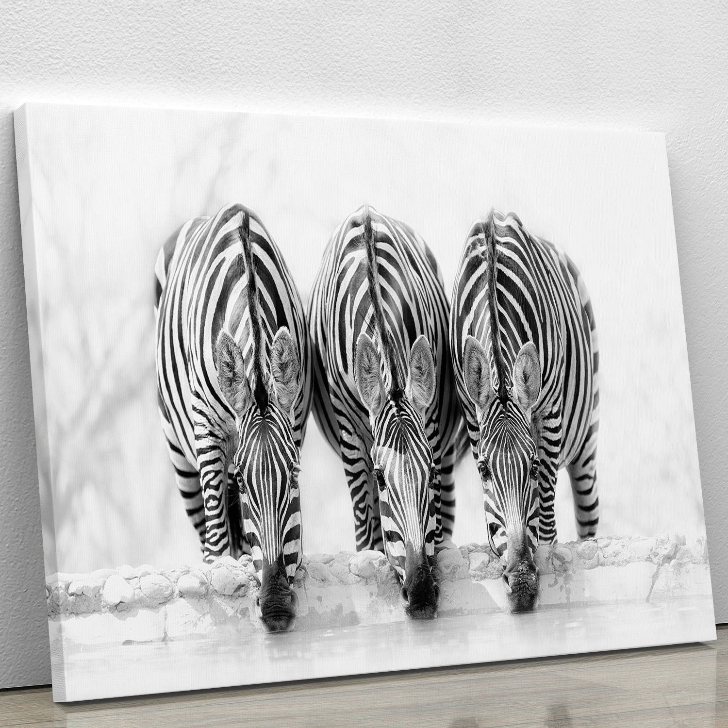 Zebras Drinking Canvas Print or Poster - Canvas Art Rocks - 1