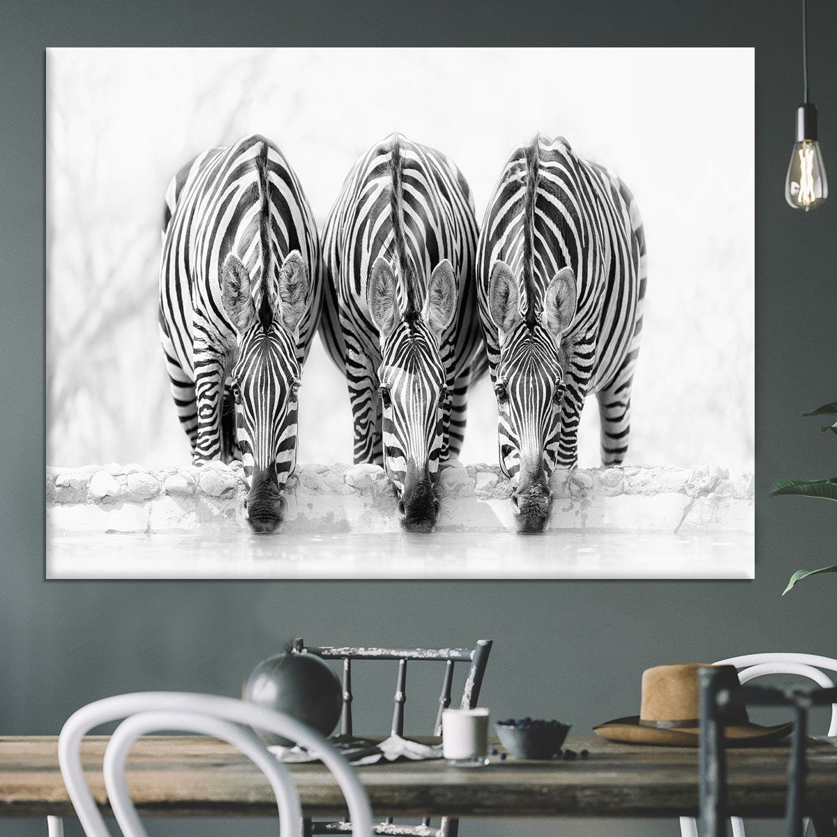 Zebras Drinking Canvas Print or Poster - Canvas Art Rocks - 3