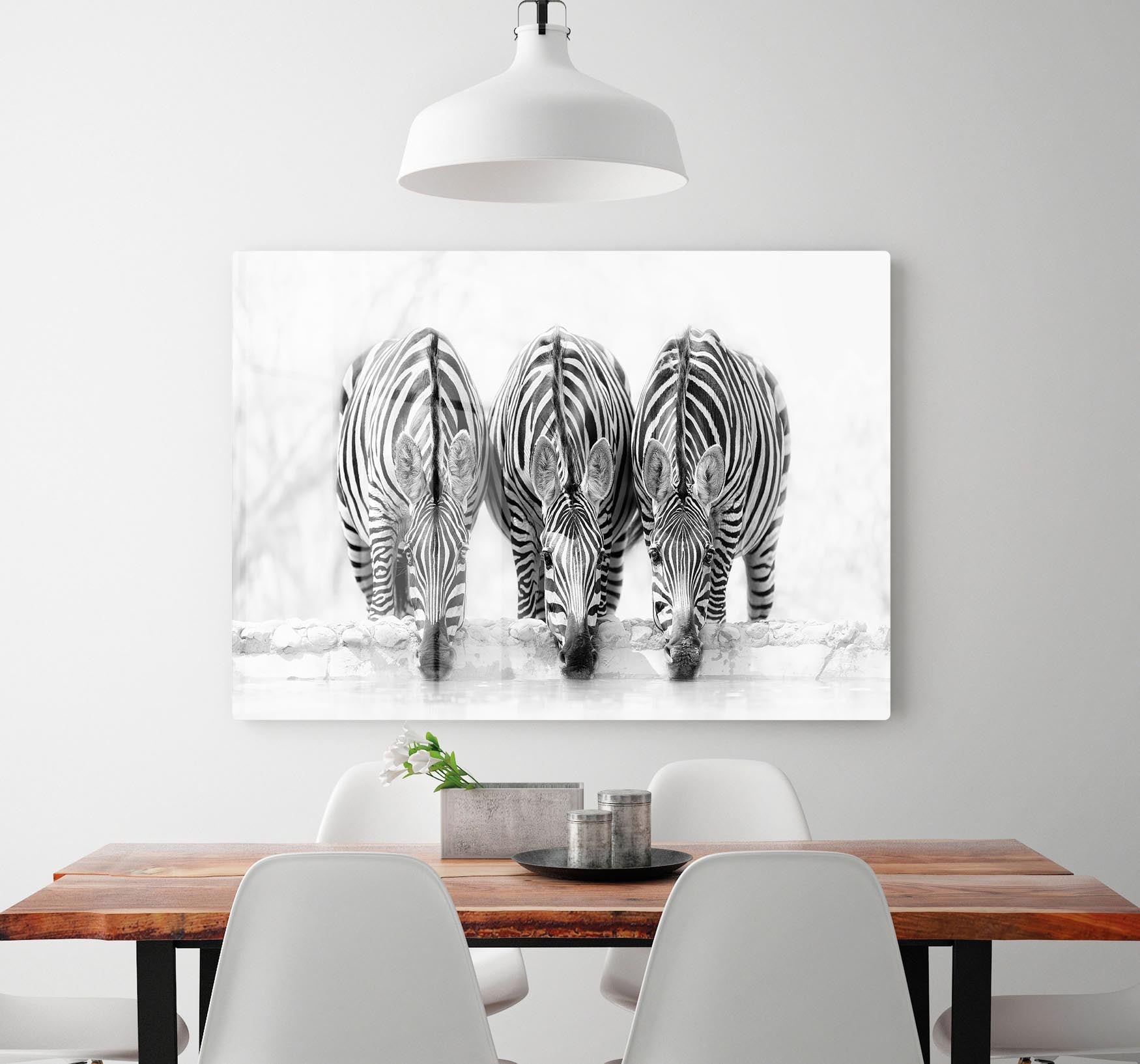 Zebras Drinking HD Metal Print - Canvas Art Rocks - 2