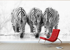 Zebras Drinking Wall Mural Wallpaper - Canvas Art Rocks - 2