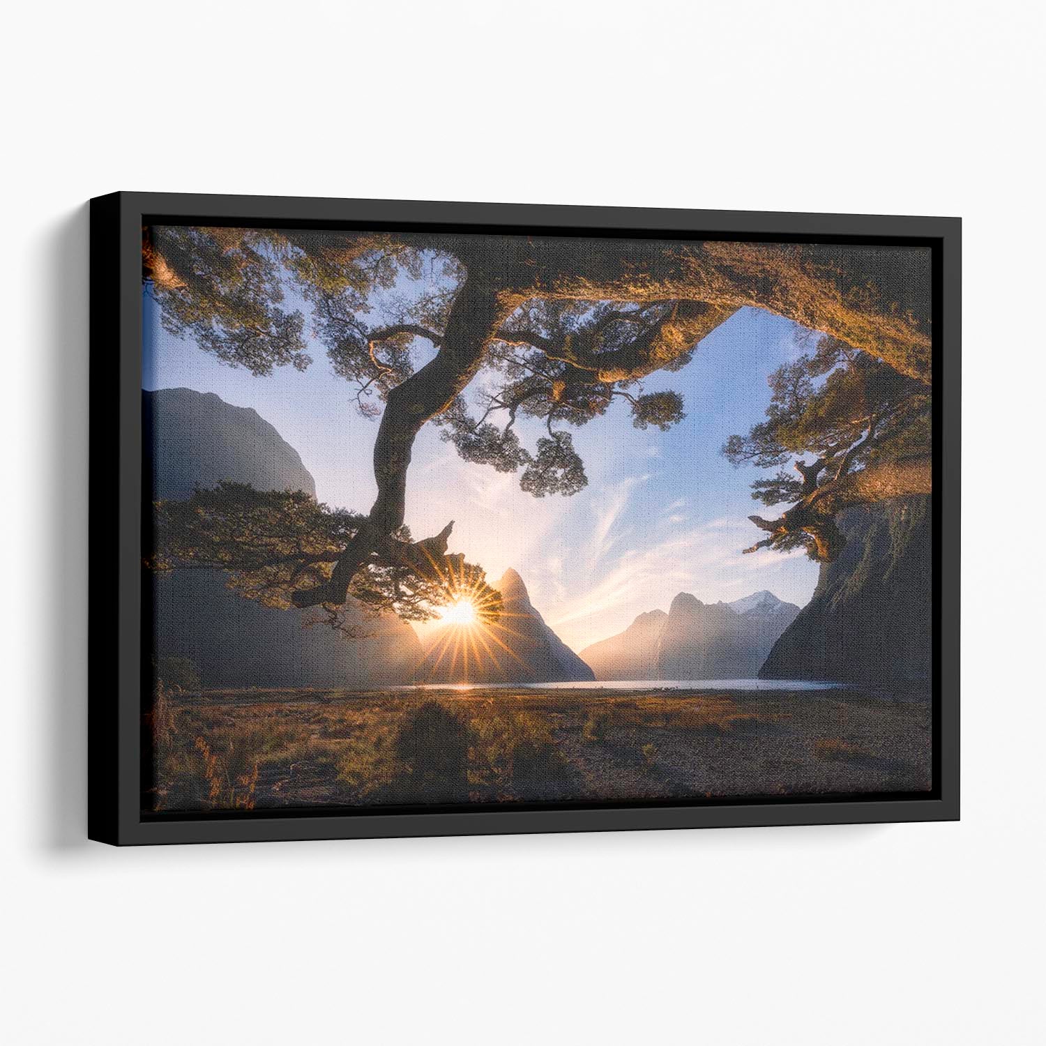 Sunny Day In Milford Sound Floating Framed Canvas - Canvas Art Rocks - 1