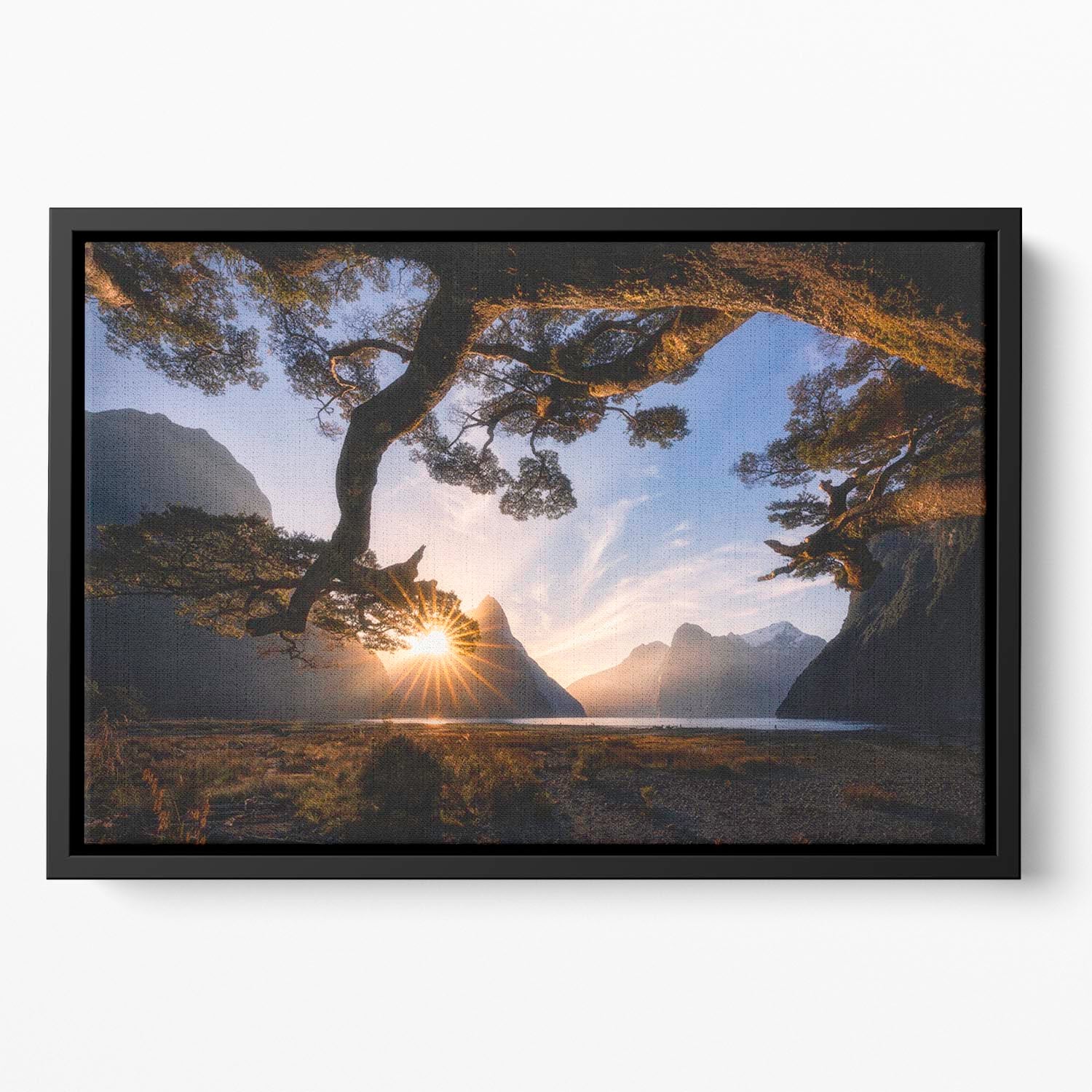 Sunny Day In Milford Sound Floating Framed Canvas - Canvas Art Rocks - 2