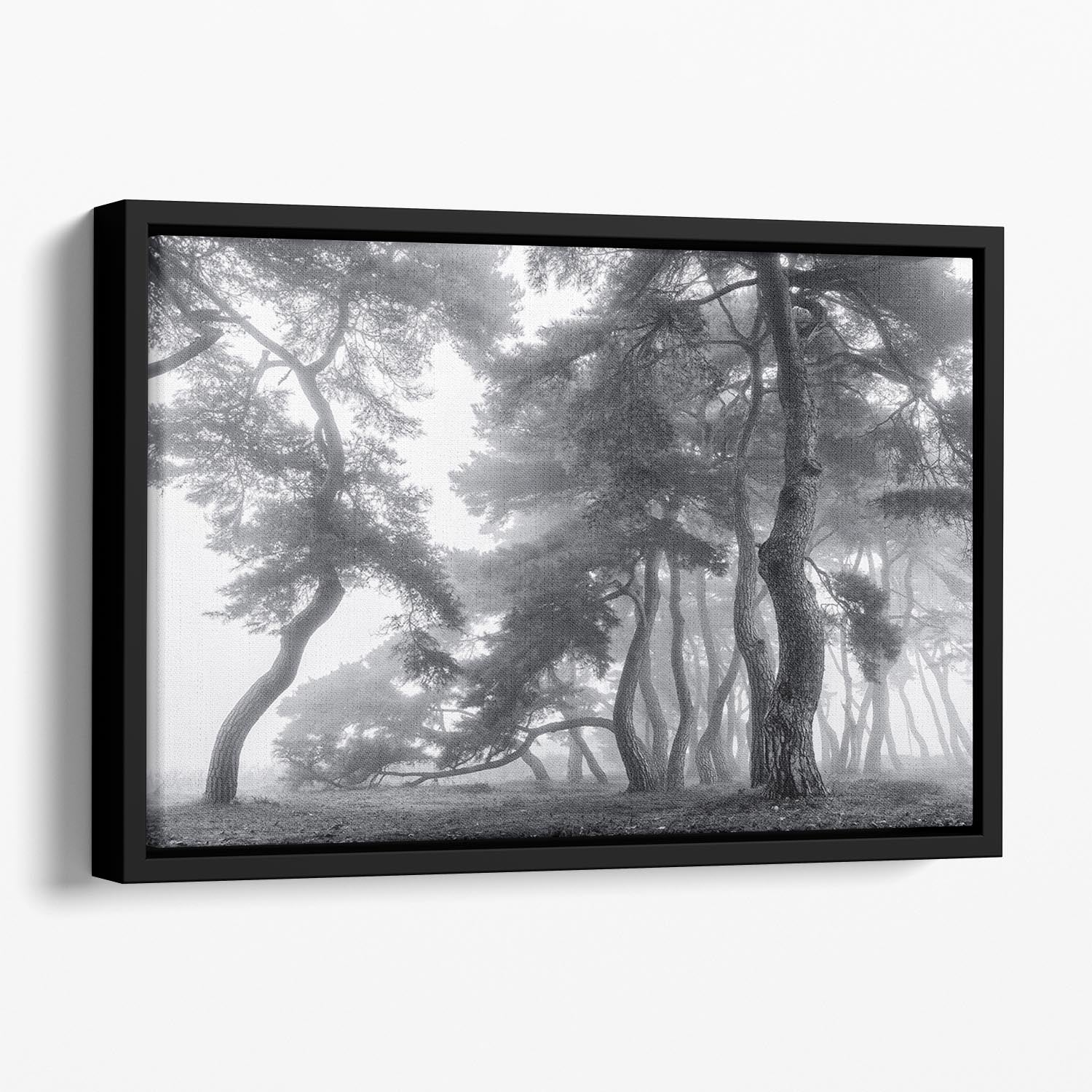 Endure For A Hundred Years Floating Framed Canvas - Canvas Art Rocks - 1