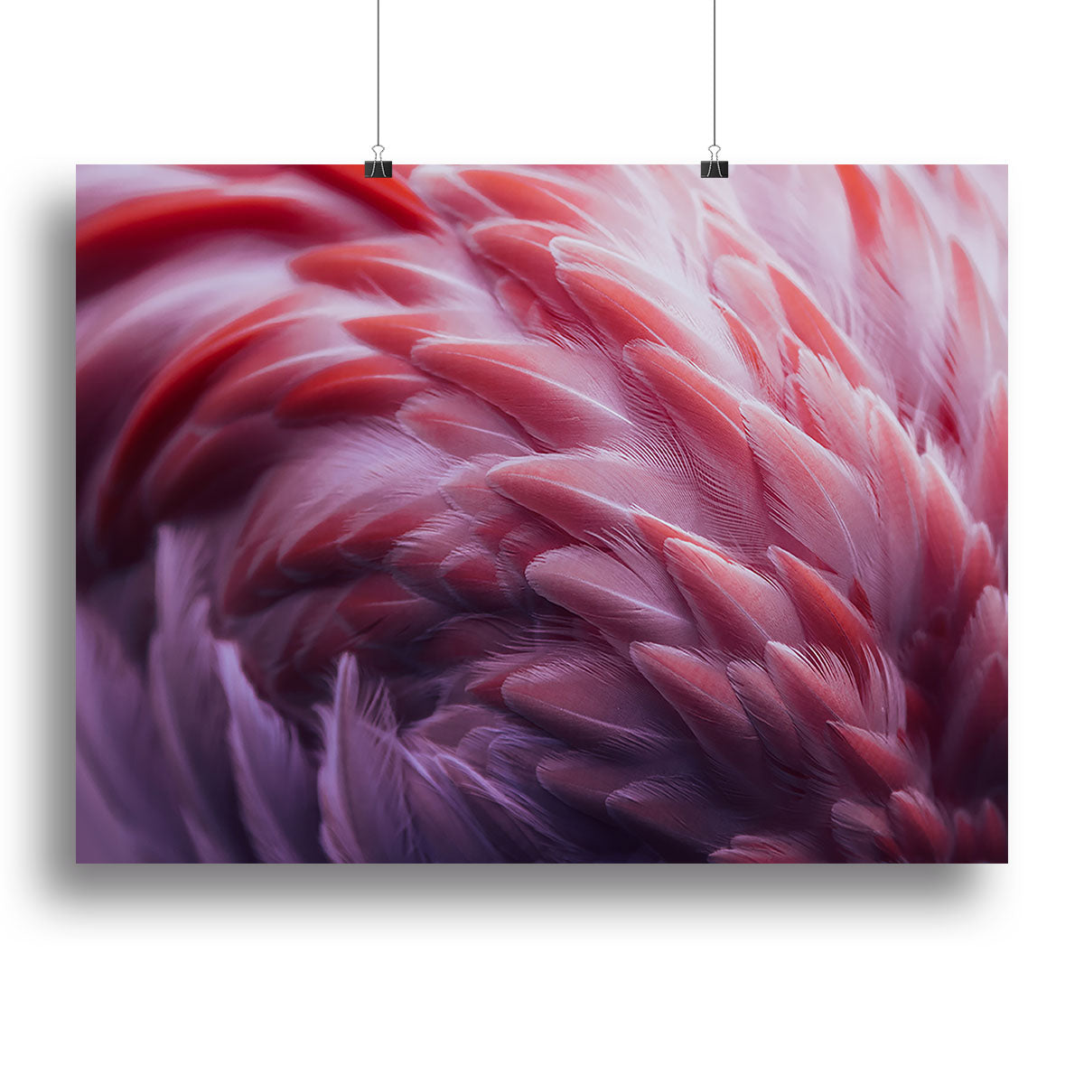 Flamingo Canvas Print or Poster - Canvas Art Rocks - 2