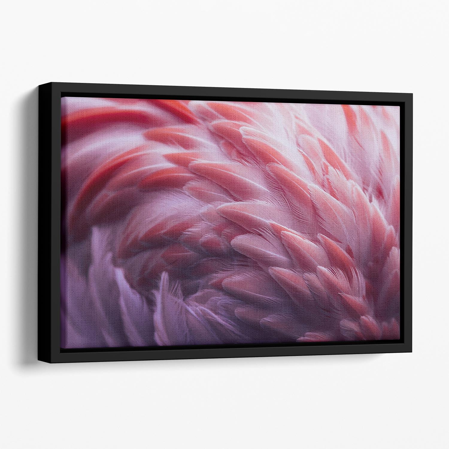 Flamingo Floating Framed Canvas - Canvas Art Rocks - 1