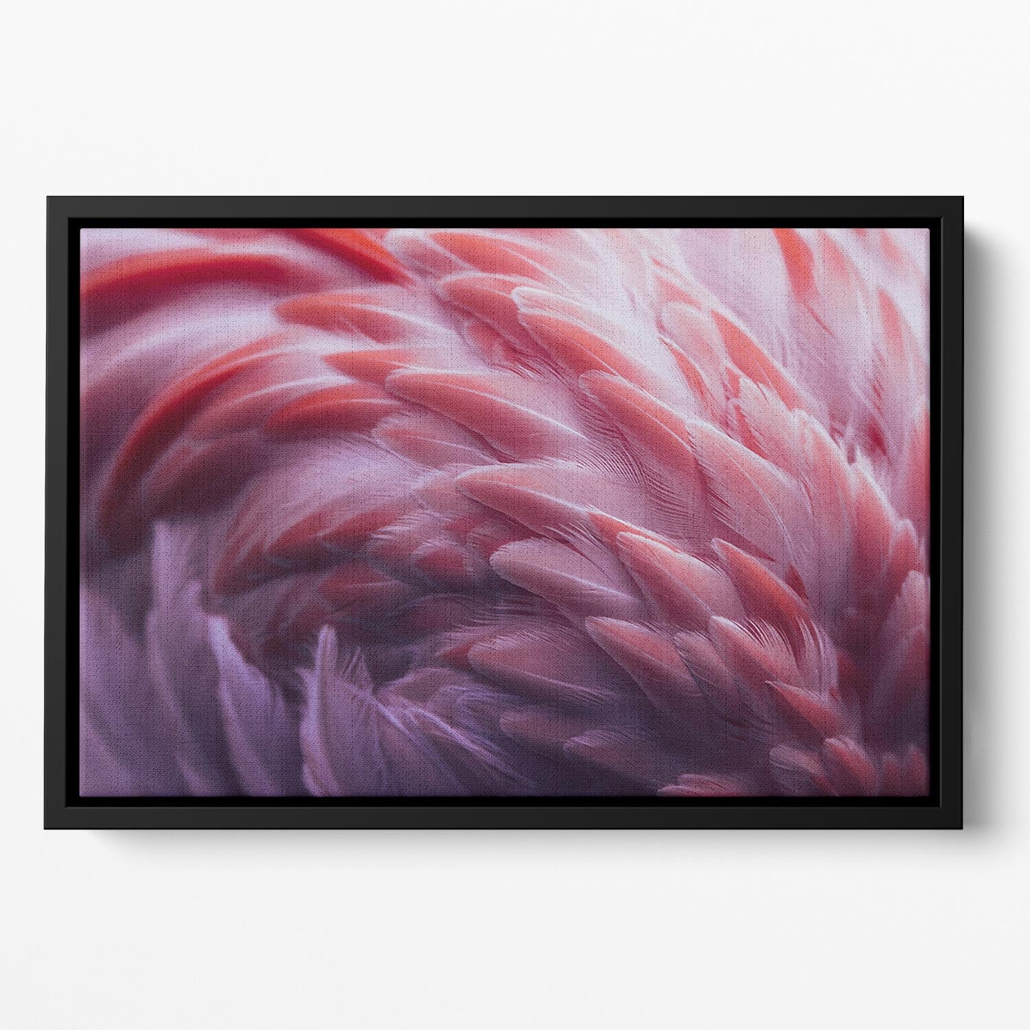 Flamingo Floating Framed Canvas - Canvas Art Rocks - 2