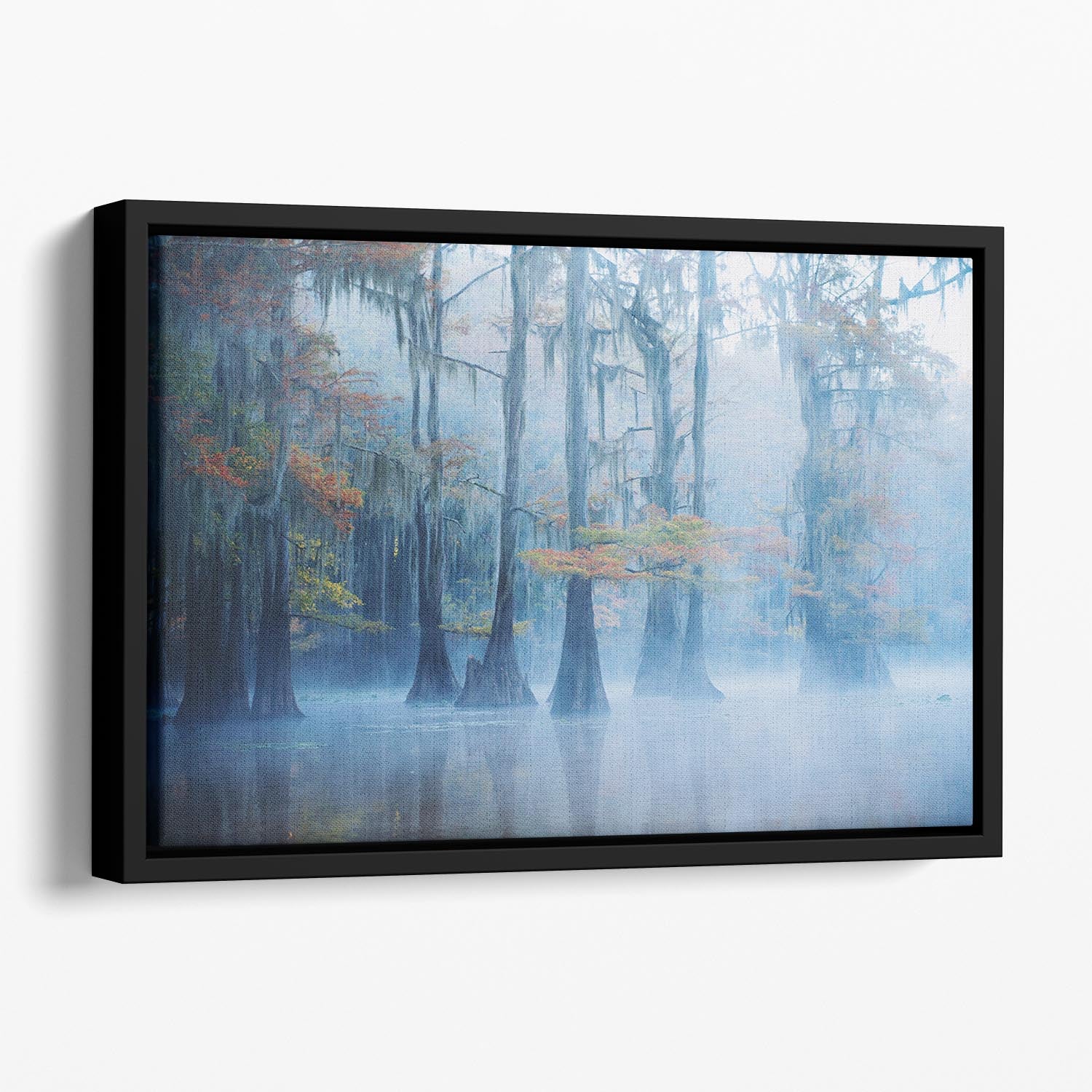 Foggy Swamp Morning Floating Framed Canvas - Canvas Art Rocks - 1