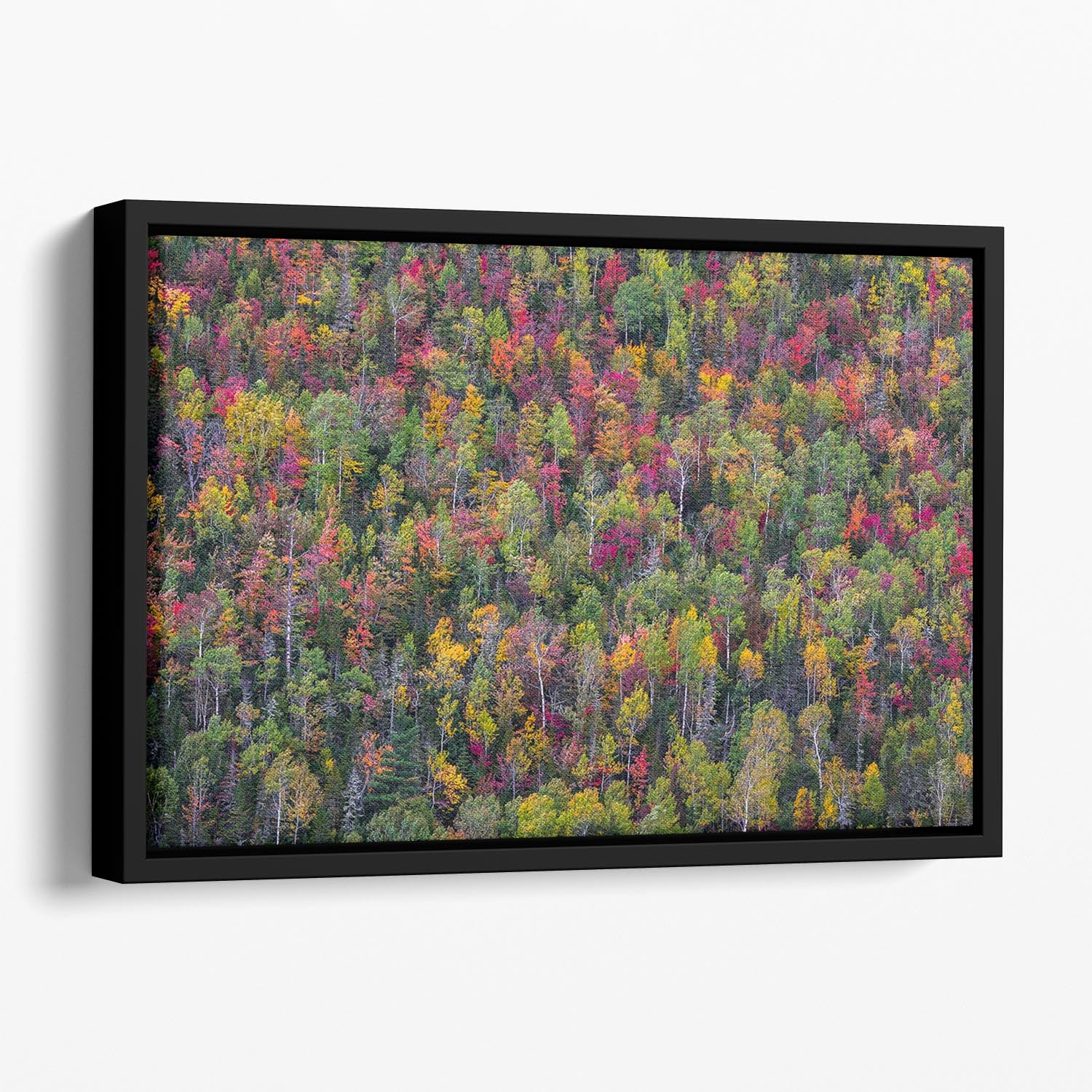 Color Palette Floating Framed Canvas - Canvas Art Rocks - 1