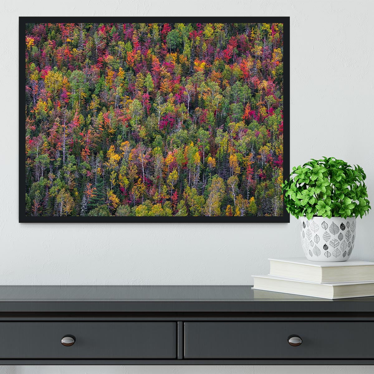 Color Palette Framed Print - Canvas Art Rocks - 2