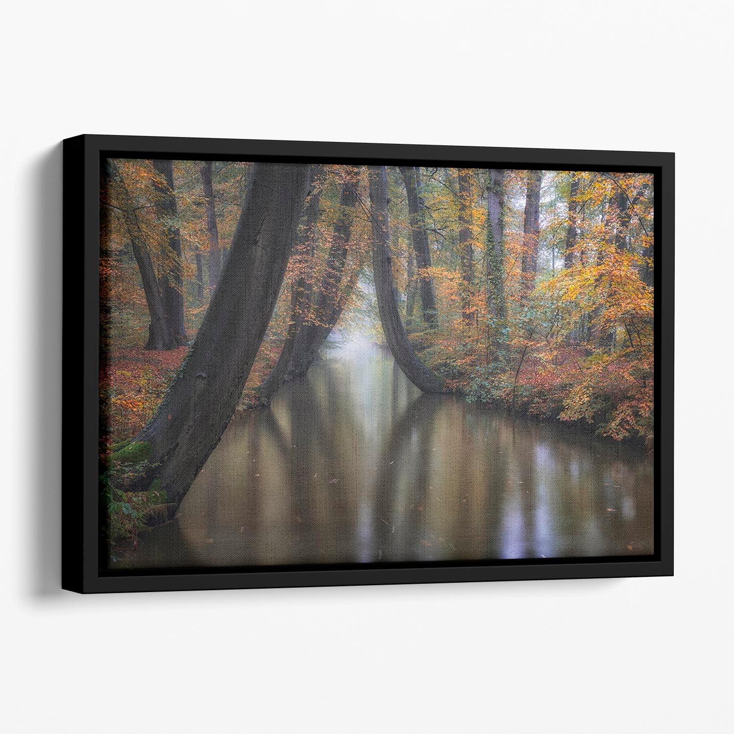 Enchanted Autumn Floating Framed Canvas - Canvas Art Rocks - 1