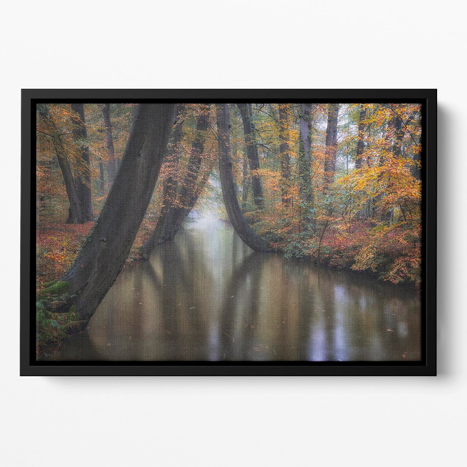 Enchanted Autumn Floating Framed Canvas - Canvas Art Rocks - 2