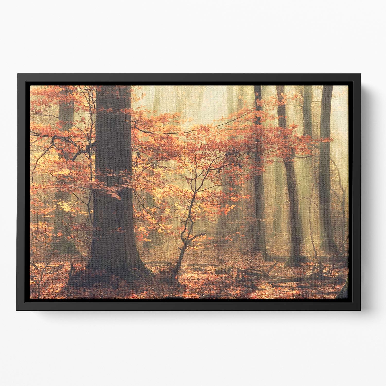 Soft Fall Floating Framed Canvas - Canvas Art Rocks - 2