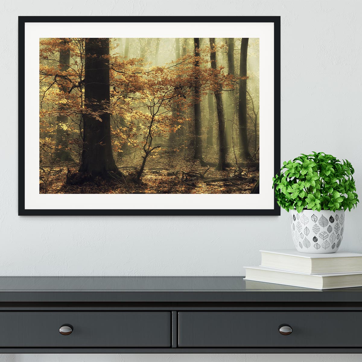 Soft Fall Framed Print - Canvas Art Rocks - 1