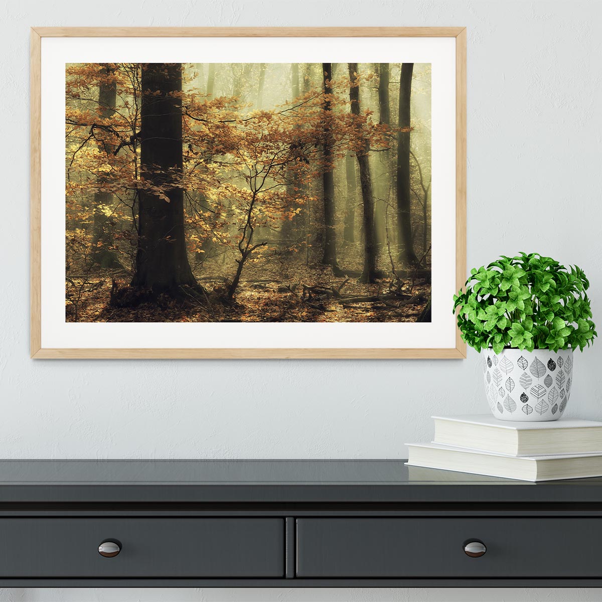 Soft Fall Framed Print - Canvas Art Rocks - 3