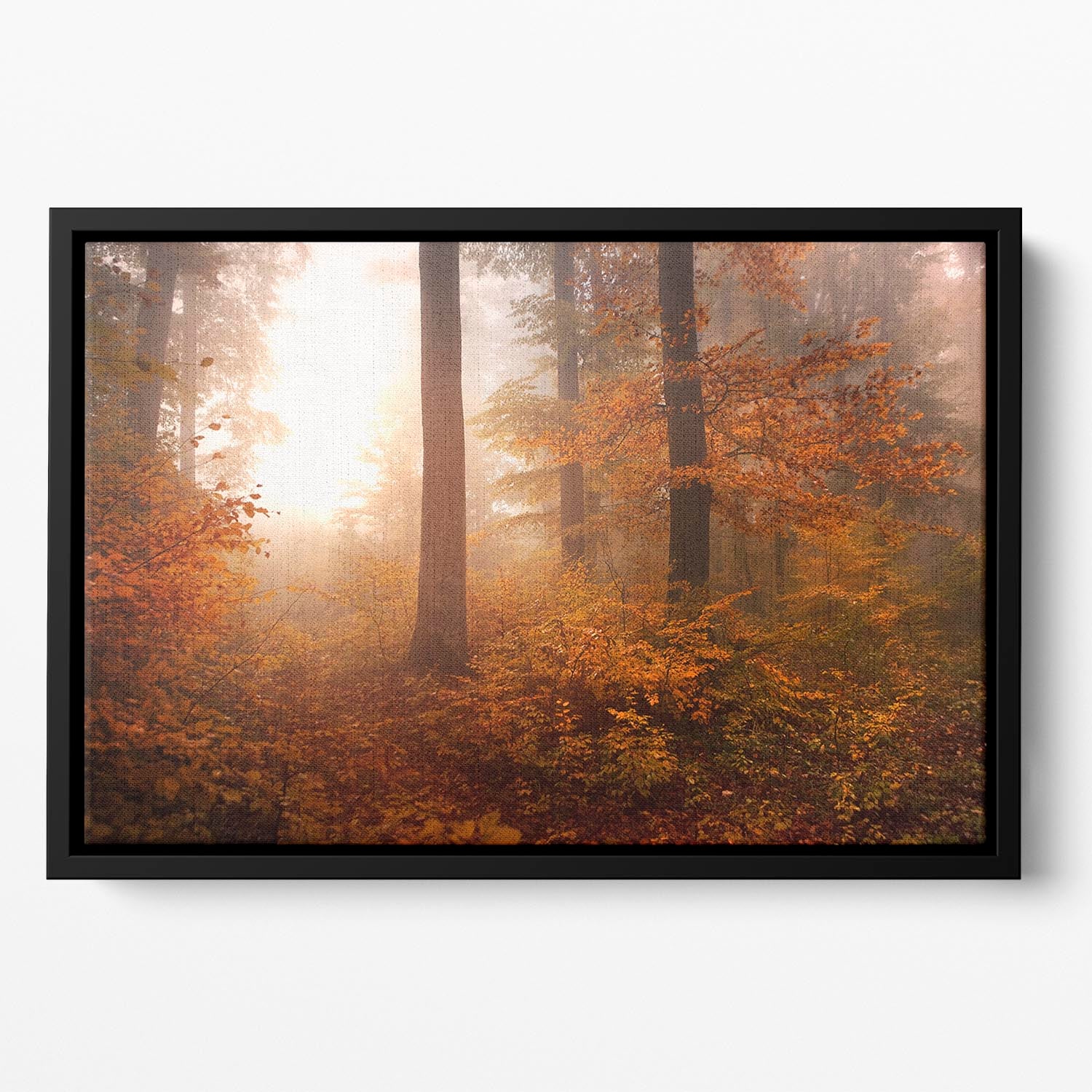 Autumn Trees Floating Framed Canvas - Canvas Art Rocks - 2