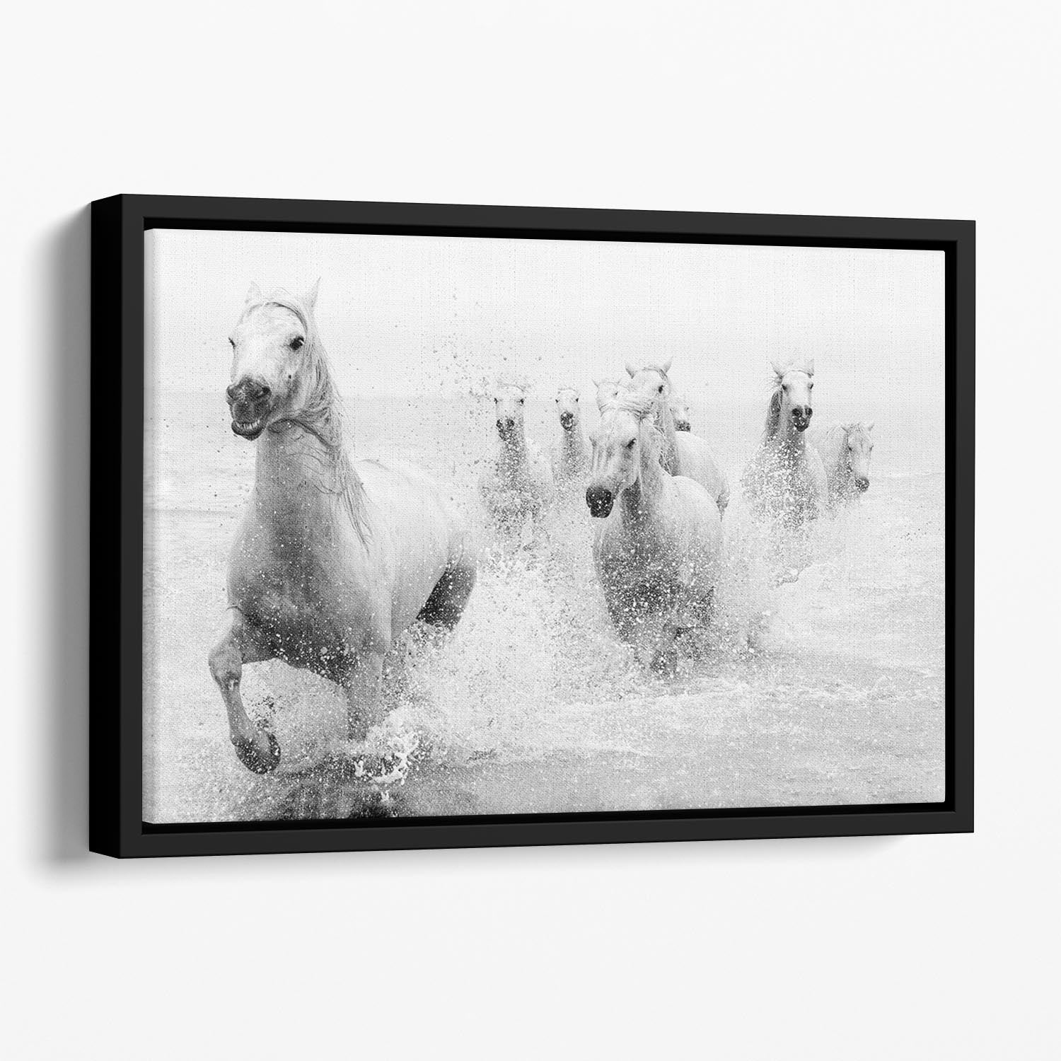 Slashing Horses Floating Framed Canvas - Canvas Art Rocks - 1