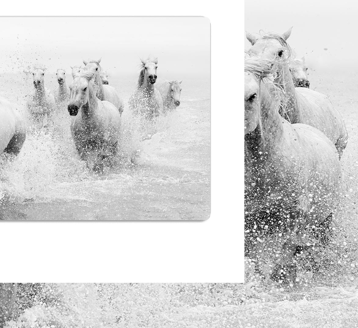 Slashing Horses HD Metal Print - Canvas Art Rocks - 1