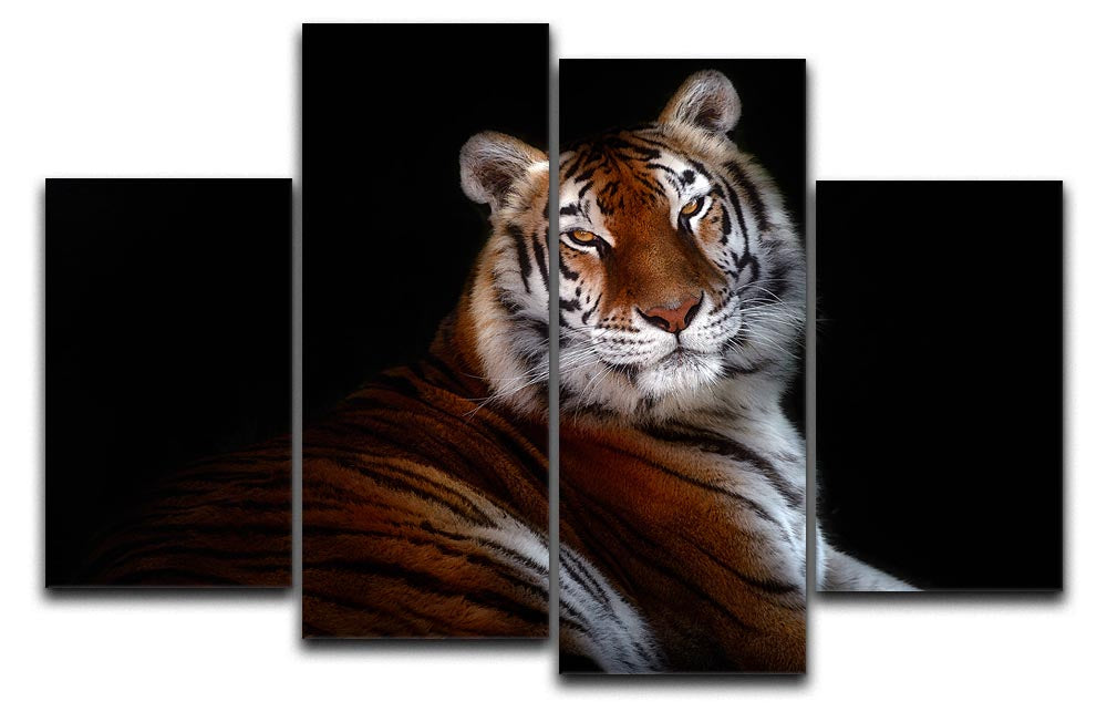 Serenity Tiger 4 Split Panel Canvas - Canvas Art Rocks - 1
