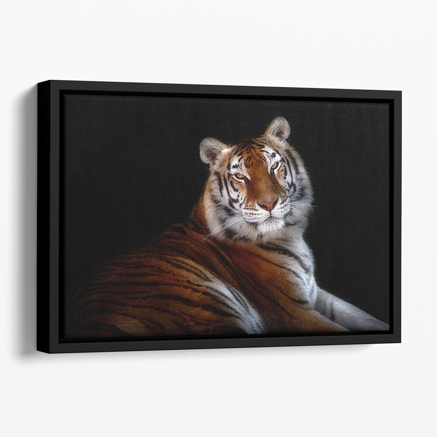 Serenity Tiger Floating Framed Canvas - Canvas Art Rocks - 1