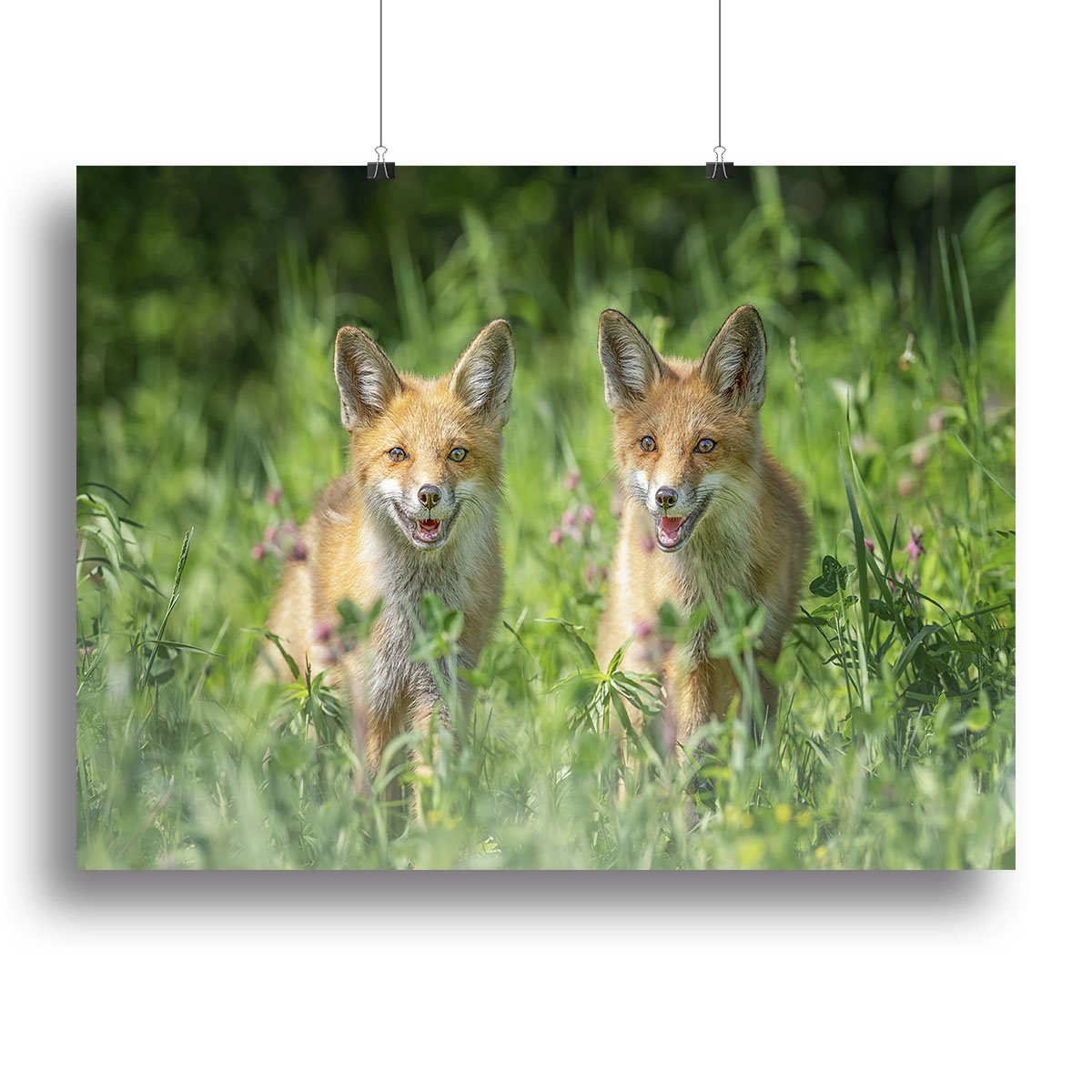 Foxes In Sprint Canvas Print or Poster - Canvas Art Rocks - 2