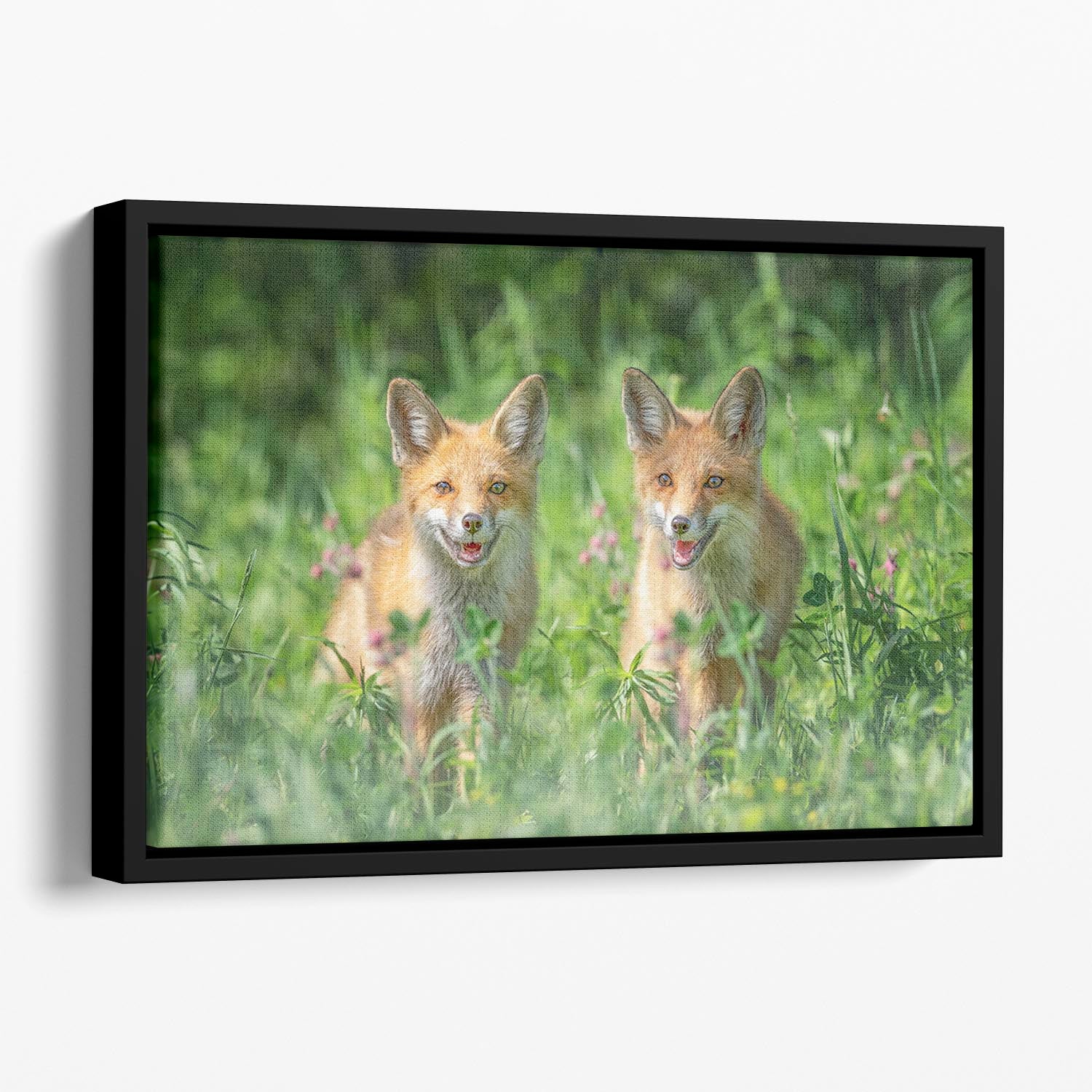 Foxes In Sprint Floating Framed Canvas - Canvas Art Rocks - 1