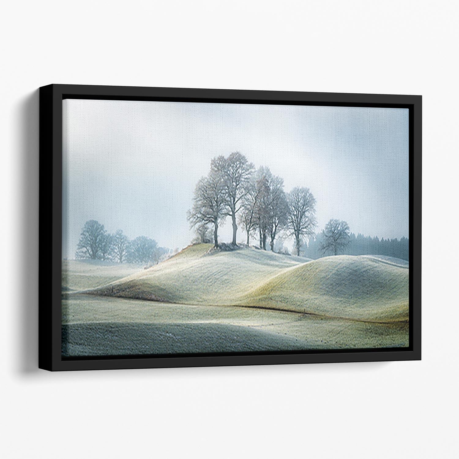 It Is Not In Tuscany Floating Framed Canvas - Canvas Art Rocks - 1