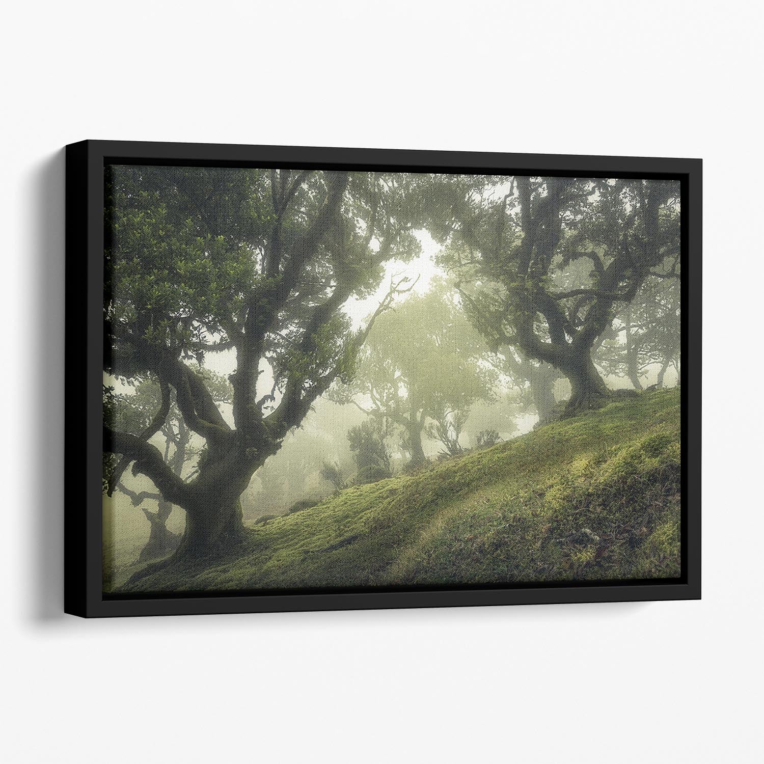 Enchanted Forest Floating Framed Canvas - Canvas Art Rocks - 1