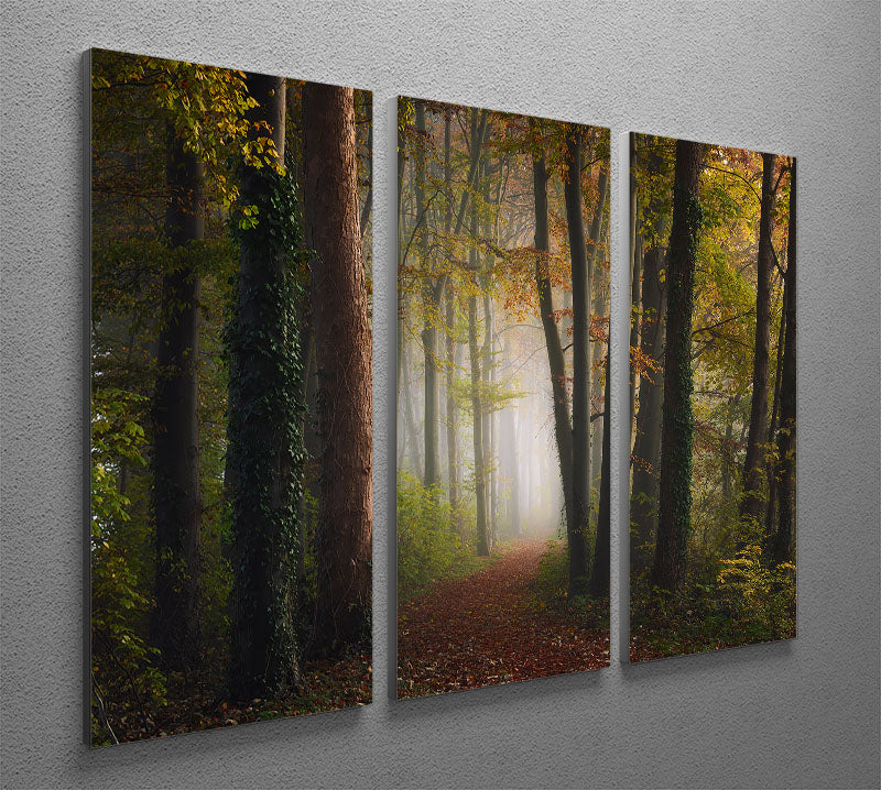 Autumn Colorful Forest 3 Split Panel Canvas Print - Canvas Art Rocks - 2