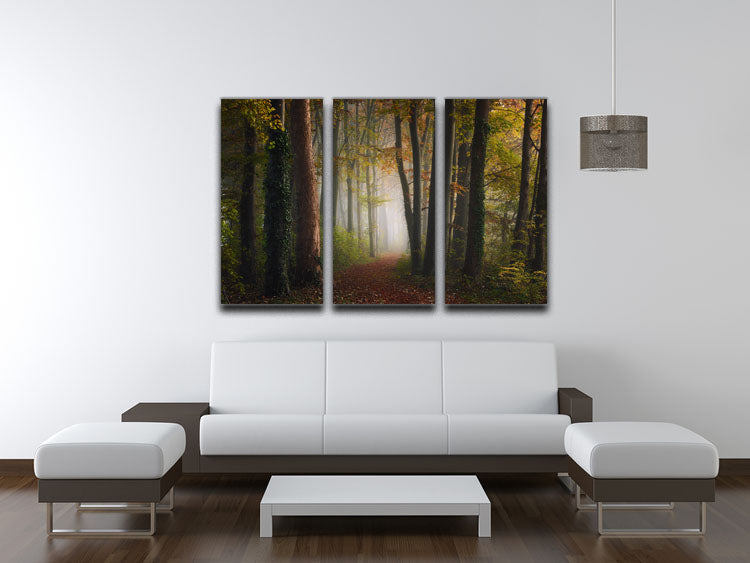 Autumn Colorful Forest 3 Split Panel Canvas Print - Canvas Art Rocks - 3