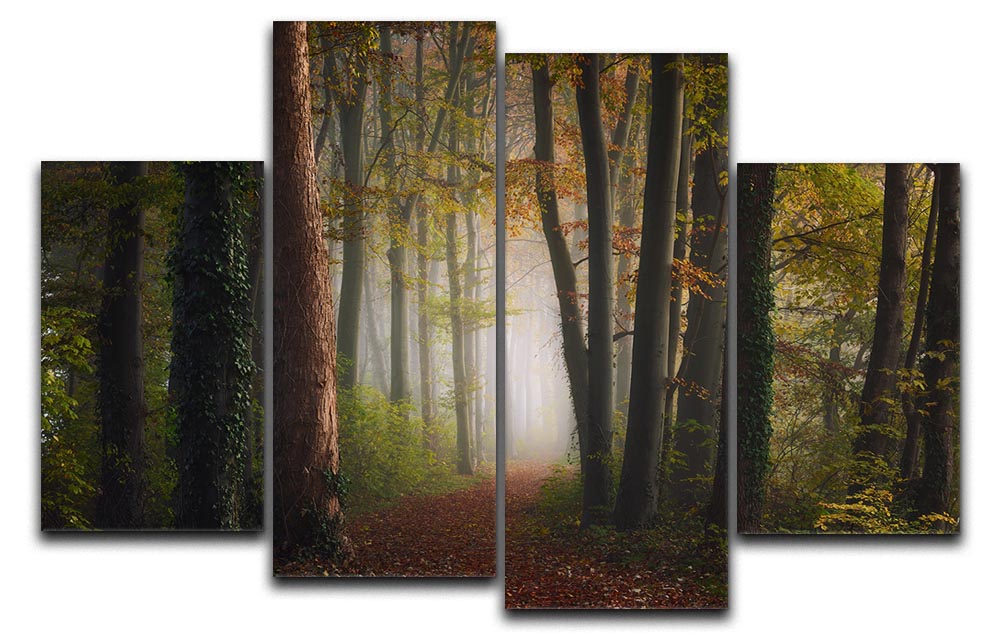 Autumn Colorful Forest 4 Split Panel Canvas - Canvas Art Rocks - 1