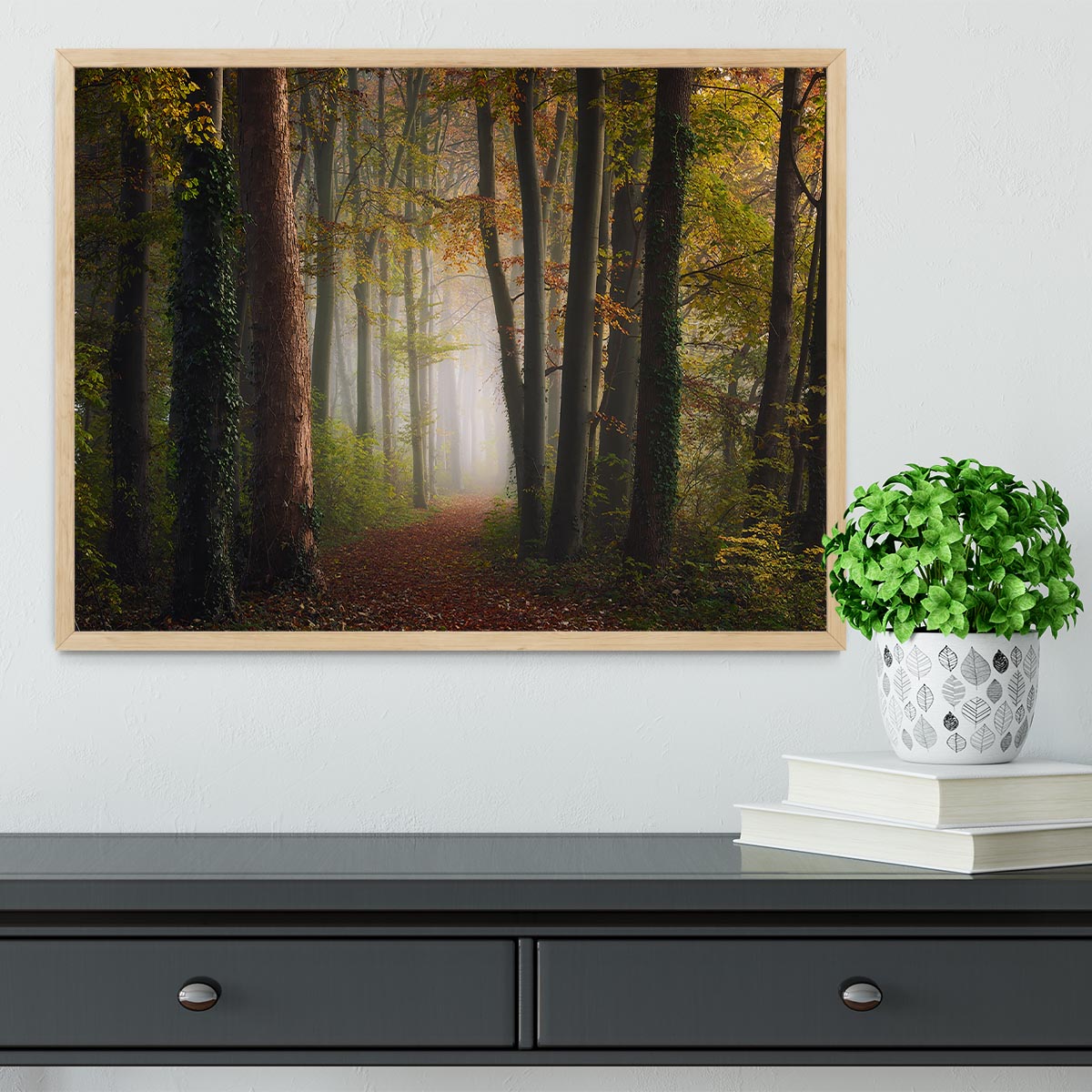 Autumn Colorful Forest Framed Print - Canvas Art Rocks - 4