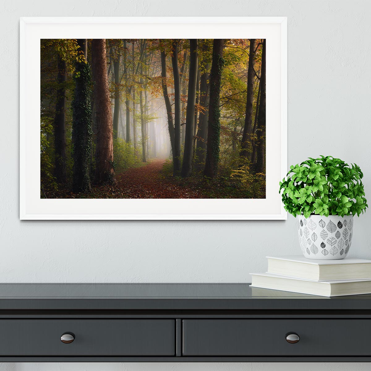 Autumn Colorful Forest Framed Print - Canvas Art Rocks - 5