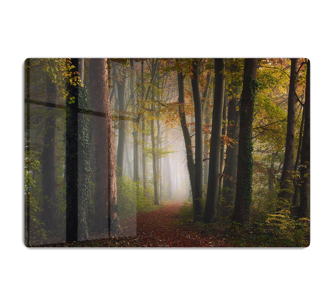 Autumn Colorful Forest HD Metal Print - Canvas Art Rocks - 1