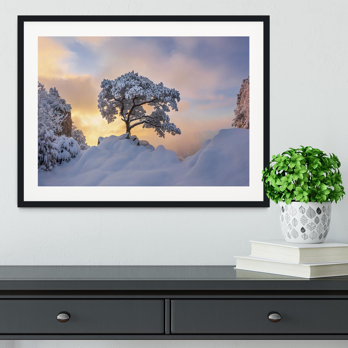 Cold Loner Framed Print - Canvas Art Rocks - 1