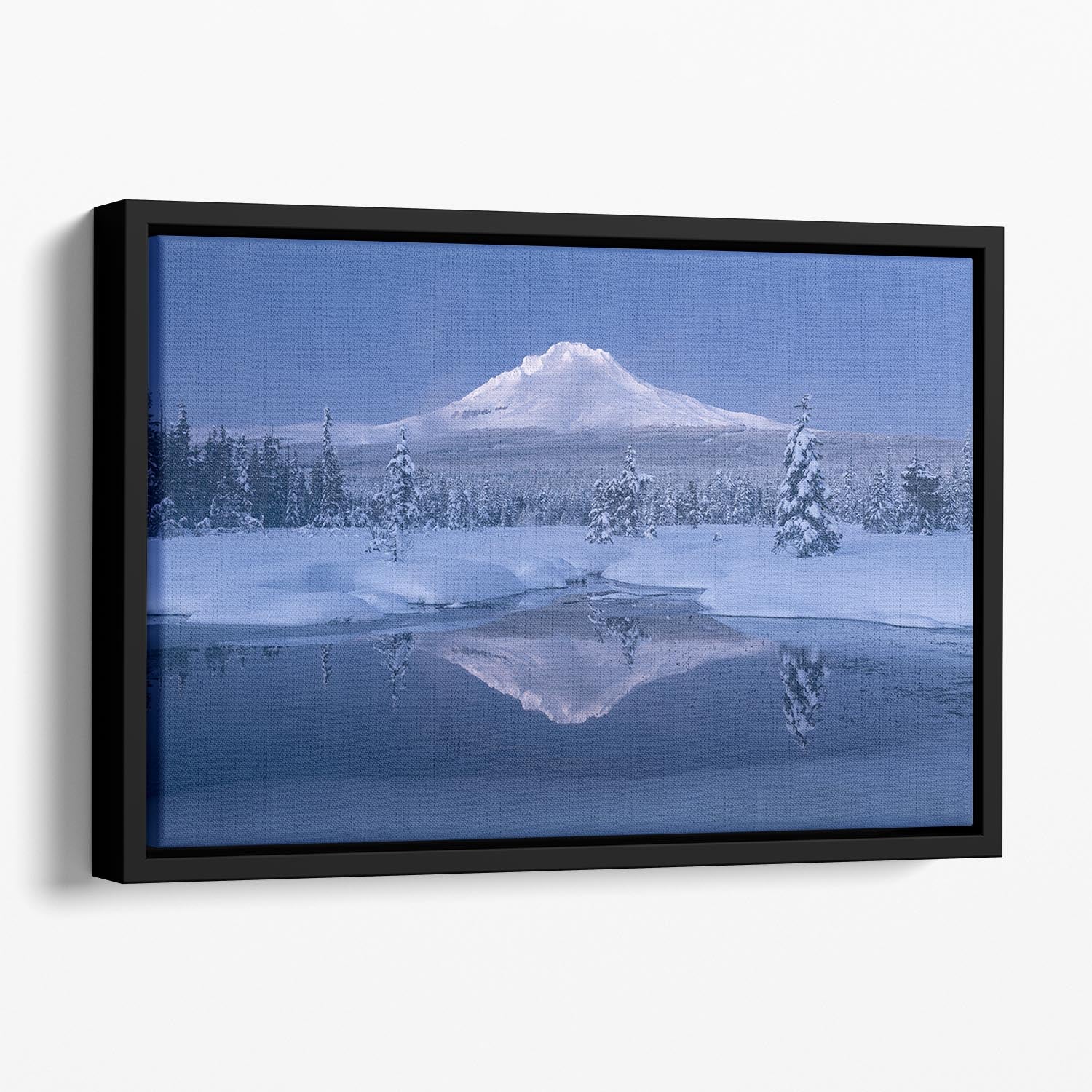 Silence Floating Framed Canvas - Canvas Art Rocks - 1