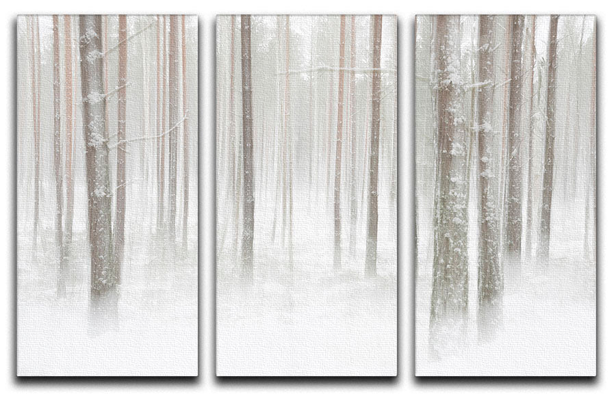 Winterforest In Sweden 3 Split Panel Canvas Print - Canvas Art Rocks - 1