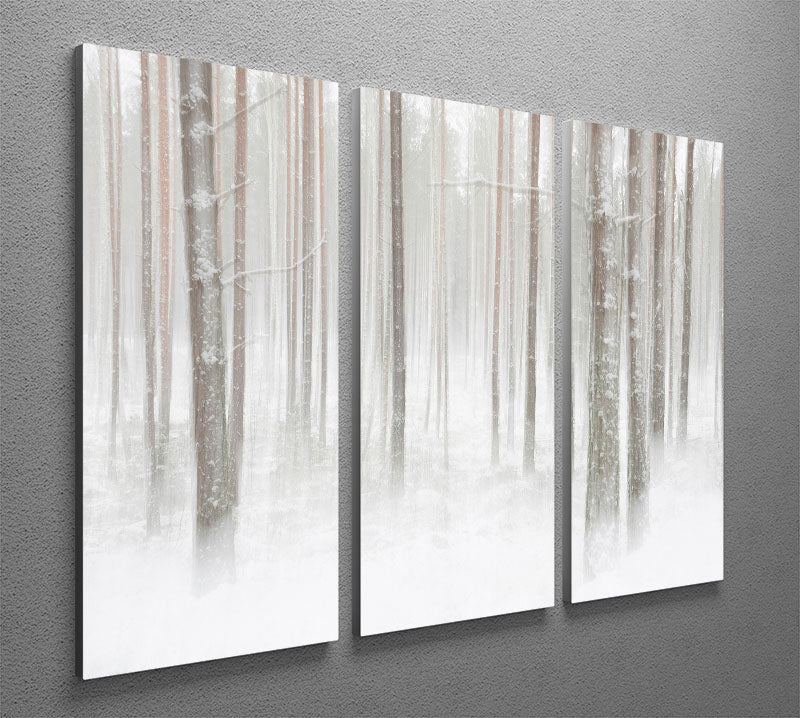 Winterforest In Sweden 3 Split Panel Canvas Print - Canvas Art Rocks - 2