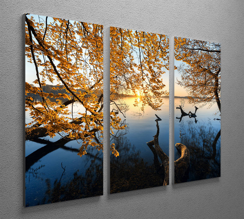 Autumn Morning 3 Split Panel Canvas Print - Canvas Art Rocks - 2