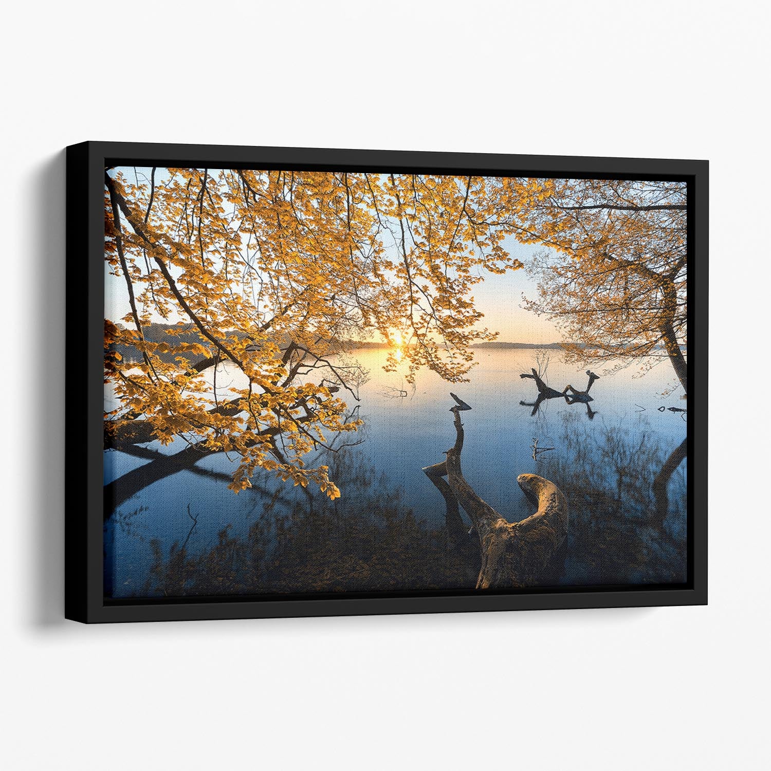 Autumn Morning Floating Framed Canvas - Canvas Art Rocks - 1
