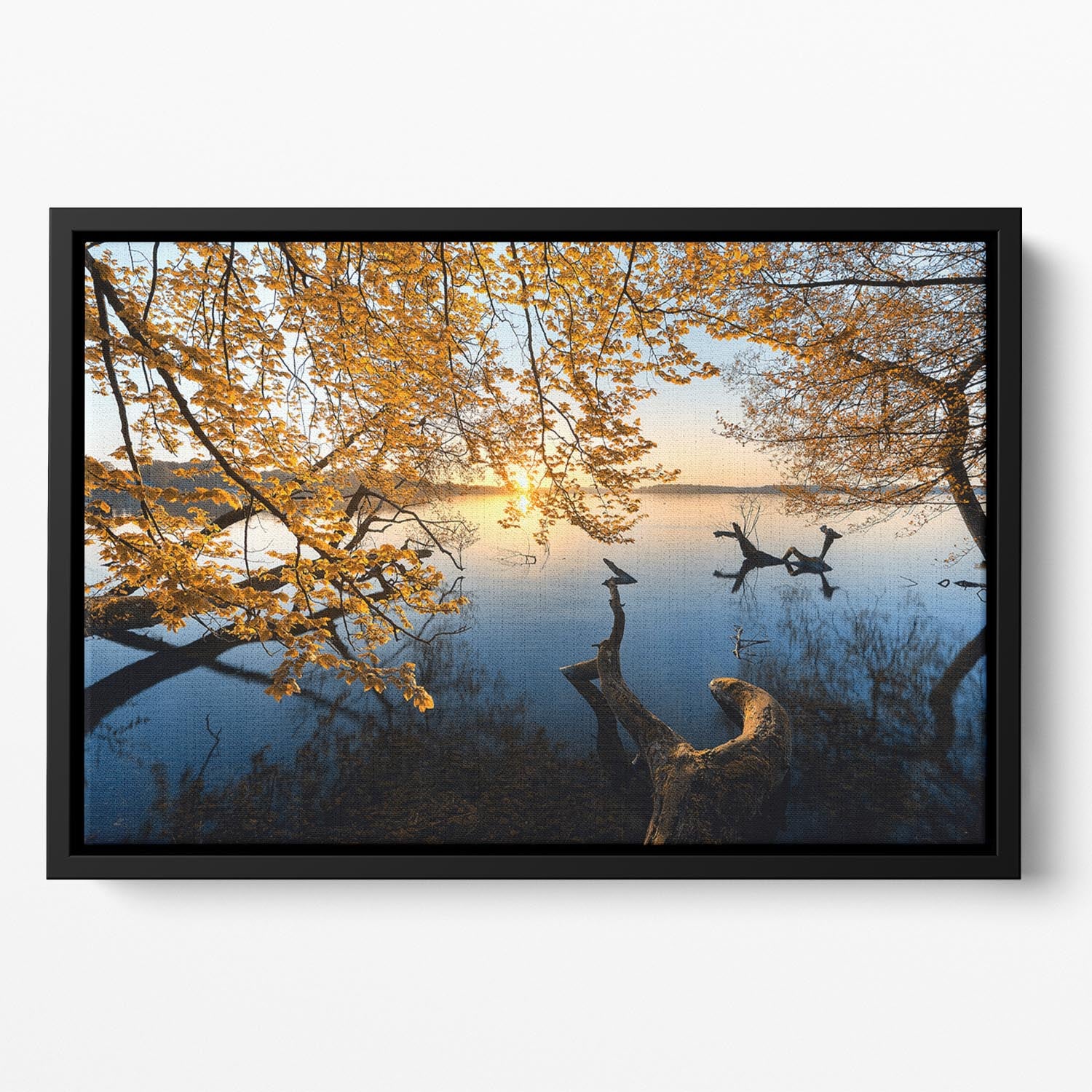 Autumn Morning Floating Framed Canvas - Canvas Art Rocks - 2