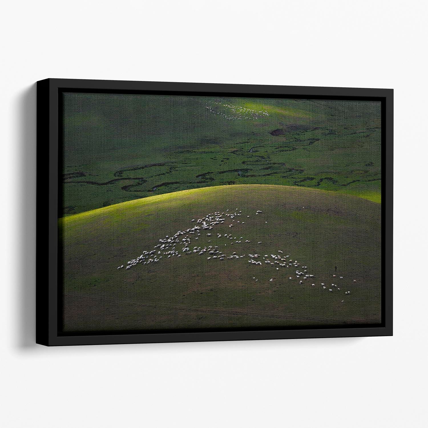The Perfect Time Floating Framed Canvas - Canvas Art Rocks - 1