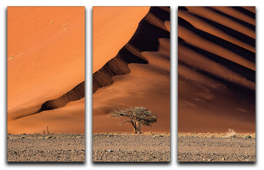 The Dune And The Tree 3 Split Panel Canvas Print - Canvas Art Rocks - 1