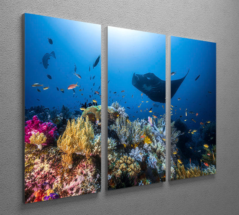 Manta Reef On The Reef 3 Split Panel Canvas Print - Canvas Art Rocks - 2