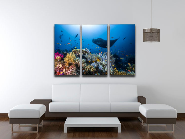 Manta Reef On The Reef 3 Split Panel Canvas Print - Canvas Art Rocks - 3