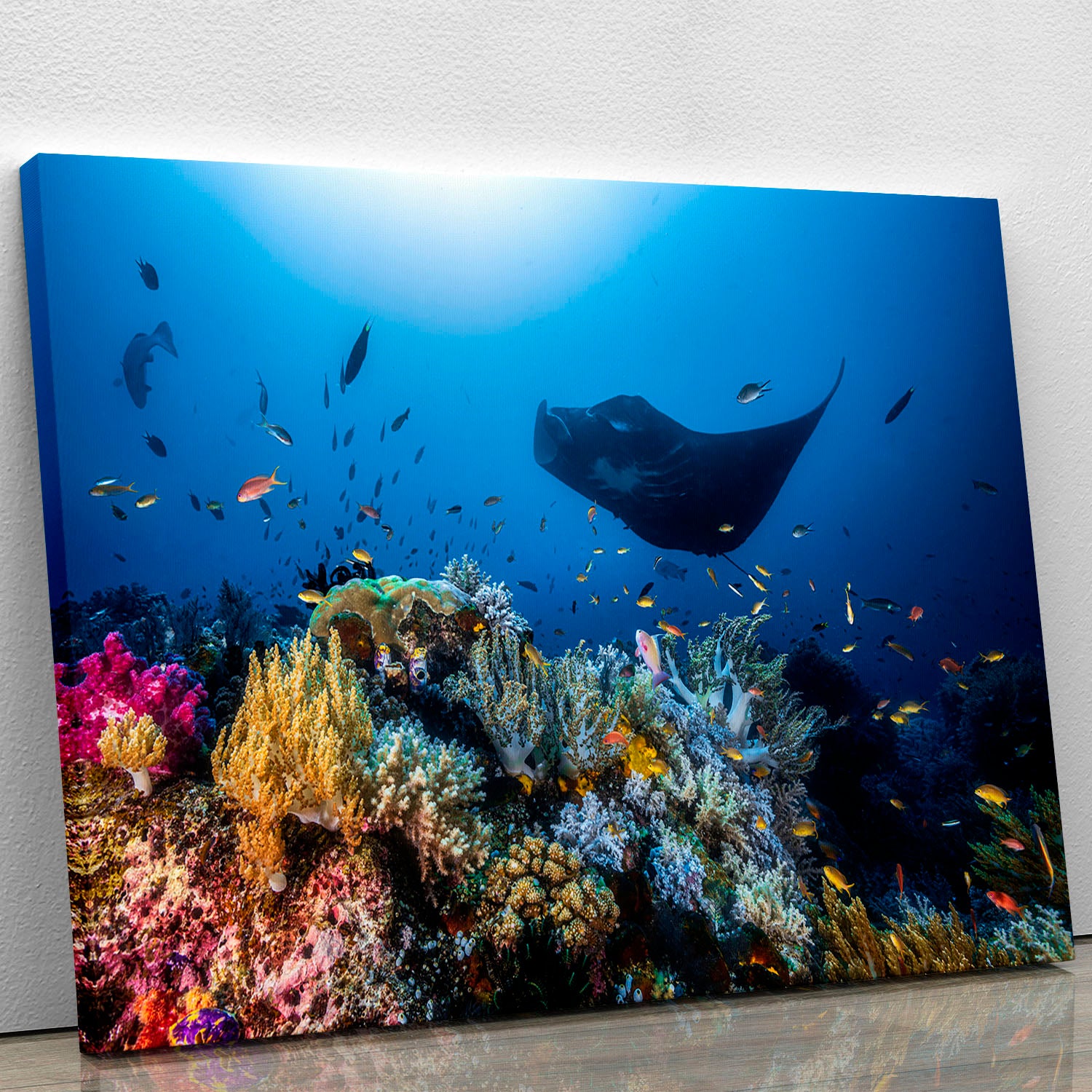 Manta Reef On The Reef Canvas Print or Poster - Canvas Art Rocks - 1