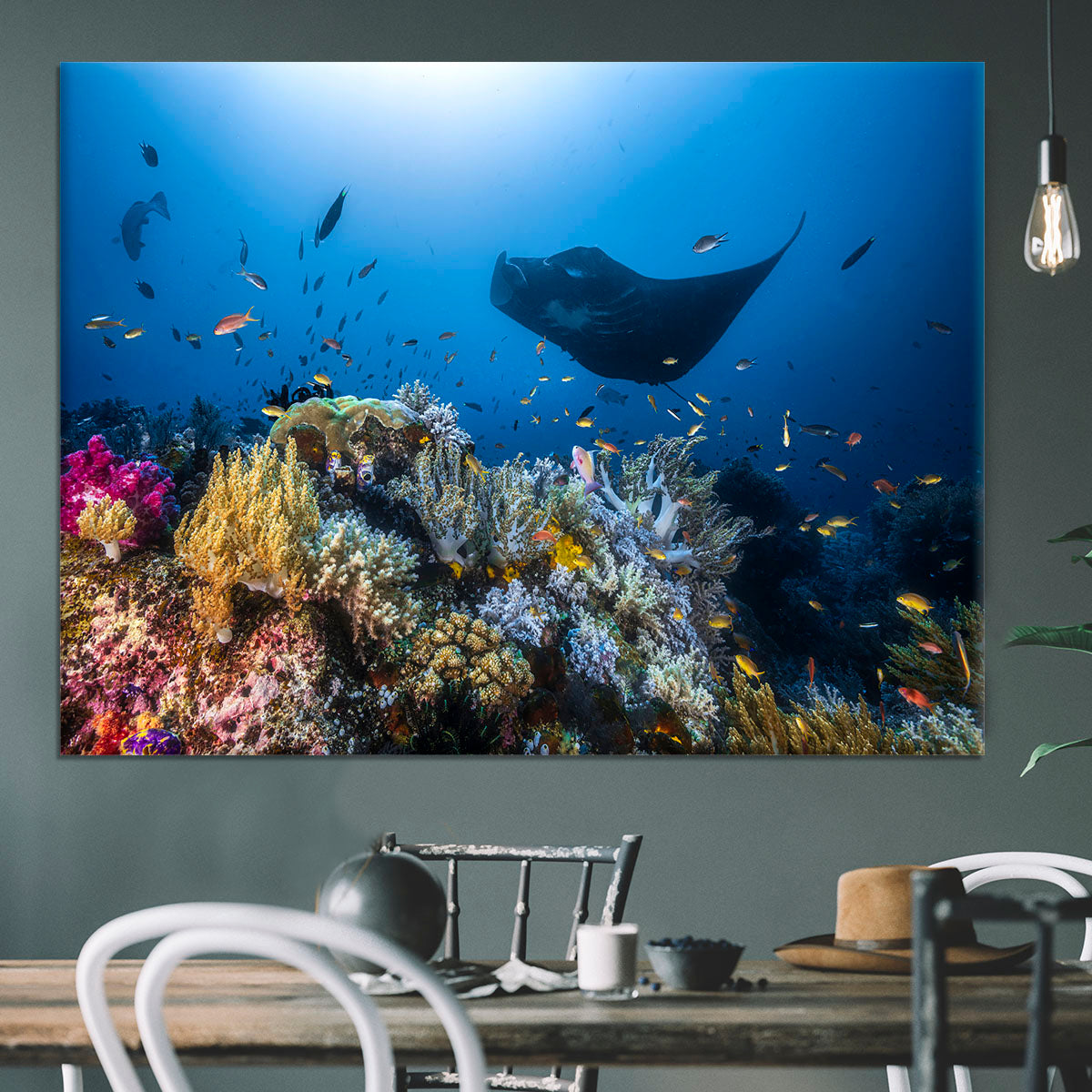 Manta Reef On The Reef Canvas Print or Poster - Canvas Art Rocks - 3