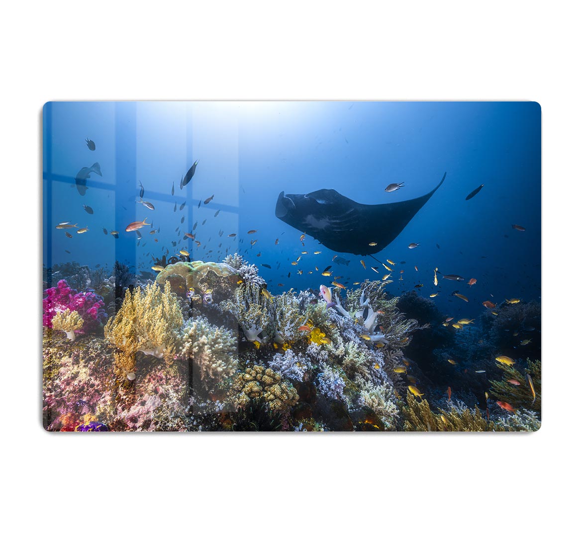 Manta Reef On The Reef HD Metal Print - Canvas Art Rocks - 1